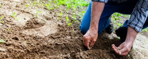 virtual-assistant-for-gardener